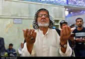 حال و هوای کربلا در شام میلاد امام رضا (ع) 