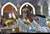 حال و هوای کربلا در شام میلاد امام رضا (ع) 