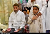 حال و هوای کربلا در شام میلاد امام رضا (ع) 