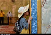 حال و هوای کربلا در شام میلاد امام رضا (ع) 