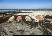وضعیت بحرانی در خلیج گرگان/خشکی 35 درصد از مساحت خلیج/دولت کوتاهی می‌کند