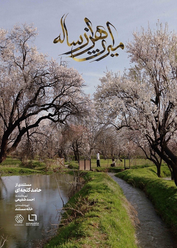 مستند , تلویزیون , 