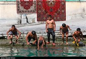 آب تنی در چشمه علی