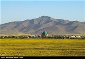 چمن سلطانیه خشک شد/ وقتی متولیان فقط تماشا می‌کنند!