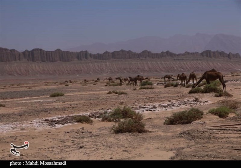 استان کرمان , 