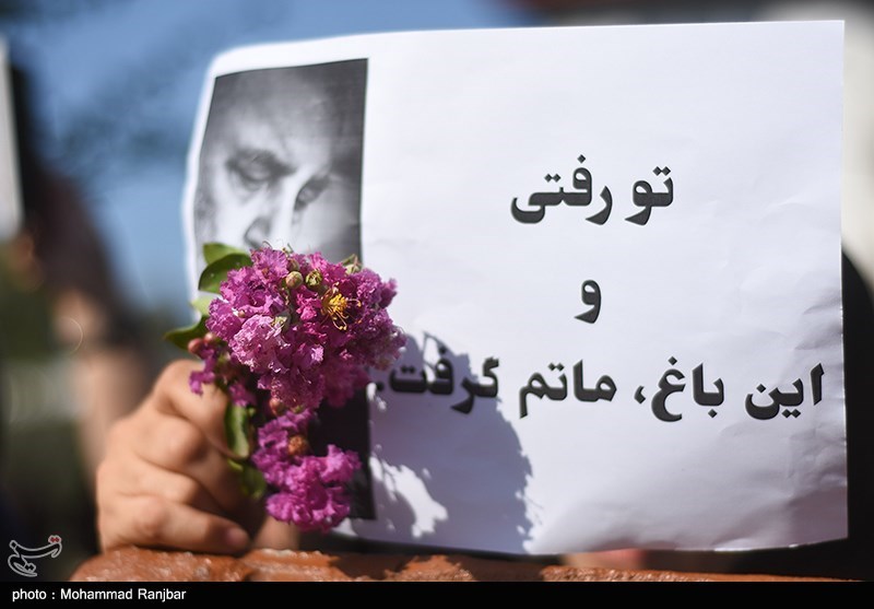 شعر , 
