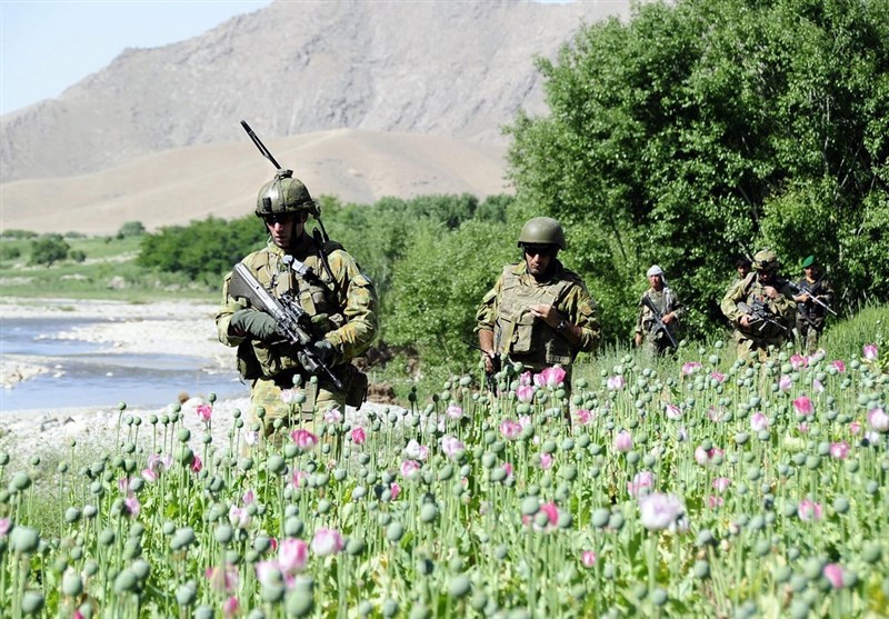 کشور افغانستان , کشور آمریکا , طالبان ,