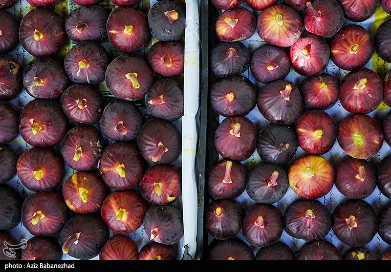 تغذیه سالم , بهداشت و درمان ,