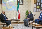 ولایتی در دیدار عبدالمهدی: ایران و کشورهای عضو مقاومت باید هر روز متحدتر باشند