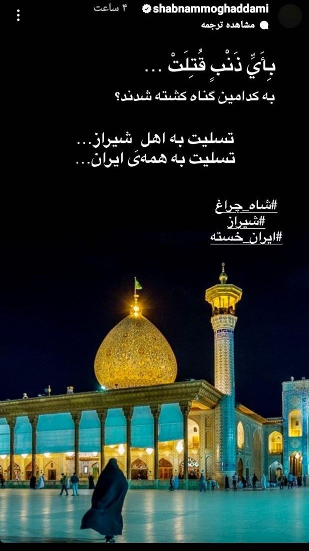 فرهنگ و هنر , بازیگران , حمله تروریستی به شاهچراغ شیراز , آرتین سرایداران , 