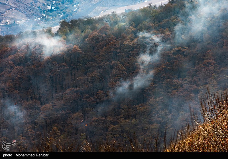 جنگل , اخبار استان گلستان , آتشسوزی , اخبار گرگان , نظام مسائل استان گلستان ,