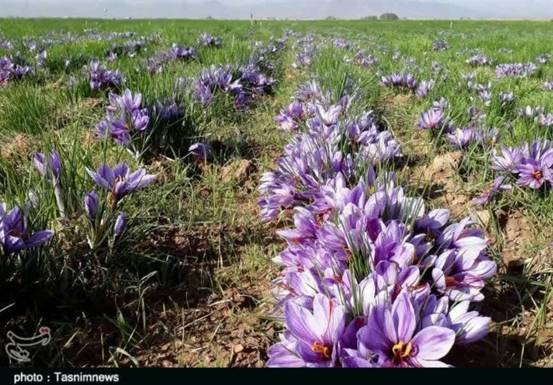 مهاجرت , استان لرستان , زندگی روستایی ,