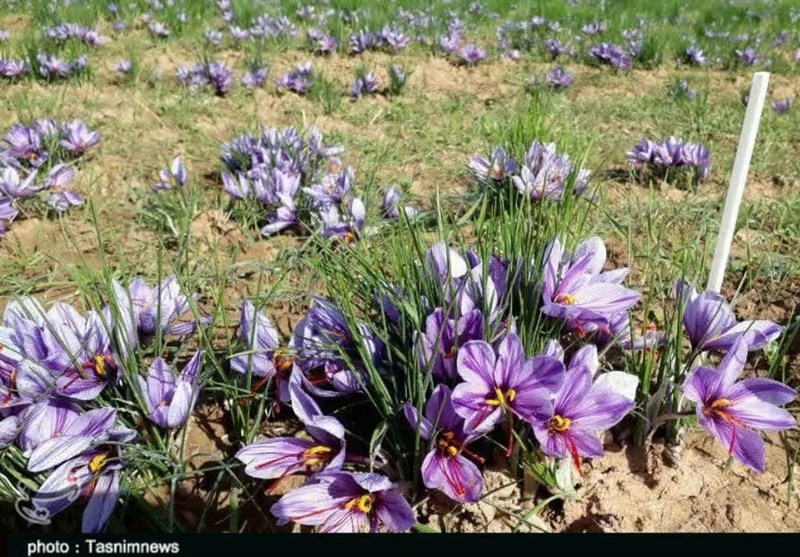 مهاجرت , استان لرستان , زندگی روستایی ,