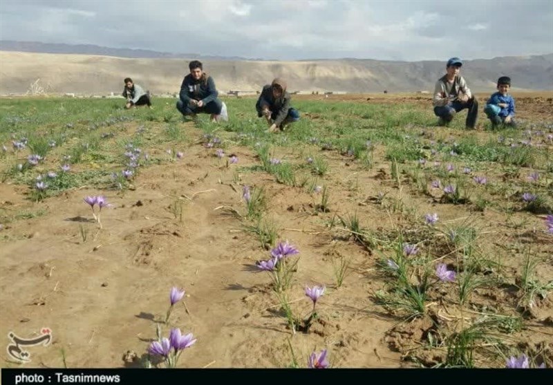 مهاجرت , استان لرستان , زندگی روستایی ,