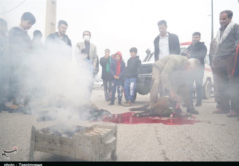 رومشکان24