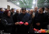 سفر وزیر میراث فرهنگی ،گردشگری و صنایع دستی  به همدان