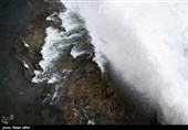 حدود ۳۰ گونه پرنده مهاجر از اوایل بهار به منطقه حفاظت شده دریاچه سد زاینده رود مهاجرت می کنند