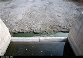 در مسیر زاینده رود