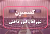 تشکیل کارگروه ارزیابی لایحه سازمان ملی مهاجرت