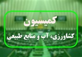 مطالبات گندمکاران پرداخت می‌شود/جلسه کمیسیون کشاورزی با «نیکبخت» و «منظور»