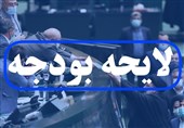 معاون اول قوه قضائیه در پاسخ به تسنیم؛ از دولت و مجلس می‌خواهیم درباره بودجه فقط به قانون عمل کنند