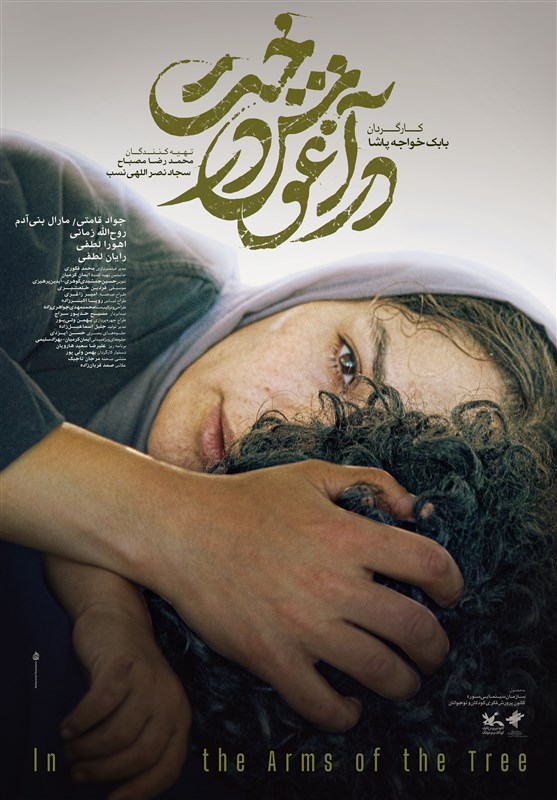 جشنواره فیلم فجر , چهل و یکمین جشنواره فیلم فجر , سینمای ایران , سینمای جهان , سینما , 