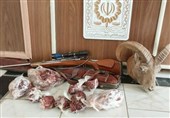 "گوشت‌های شکار ضبط شده از شکارچیان" به مصرف چه کسانی می‌‌رسد؟!