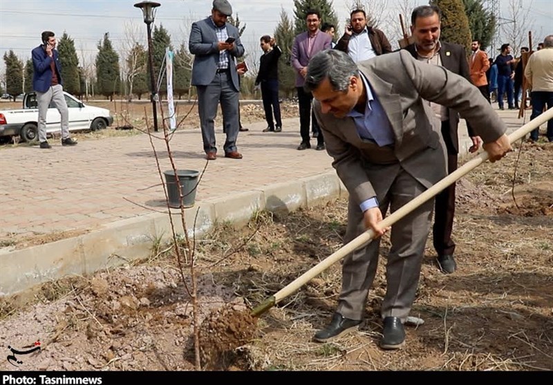 روز درختکاری ,