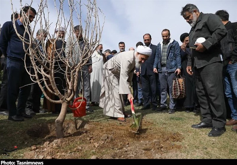 روز درختکاری ,