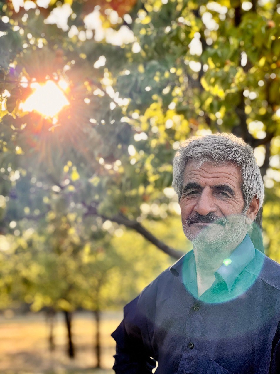 مستند , سینما , سینمای مستند , ایرانگردی | ایران گردی , 