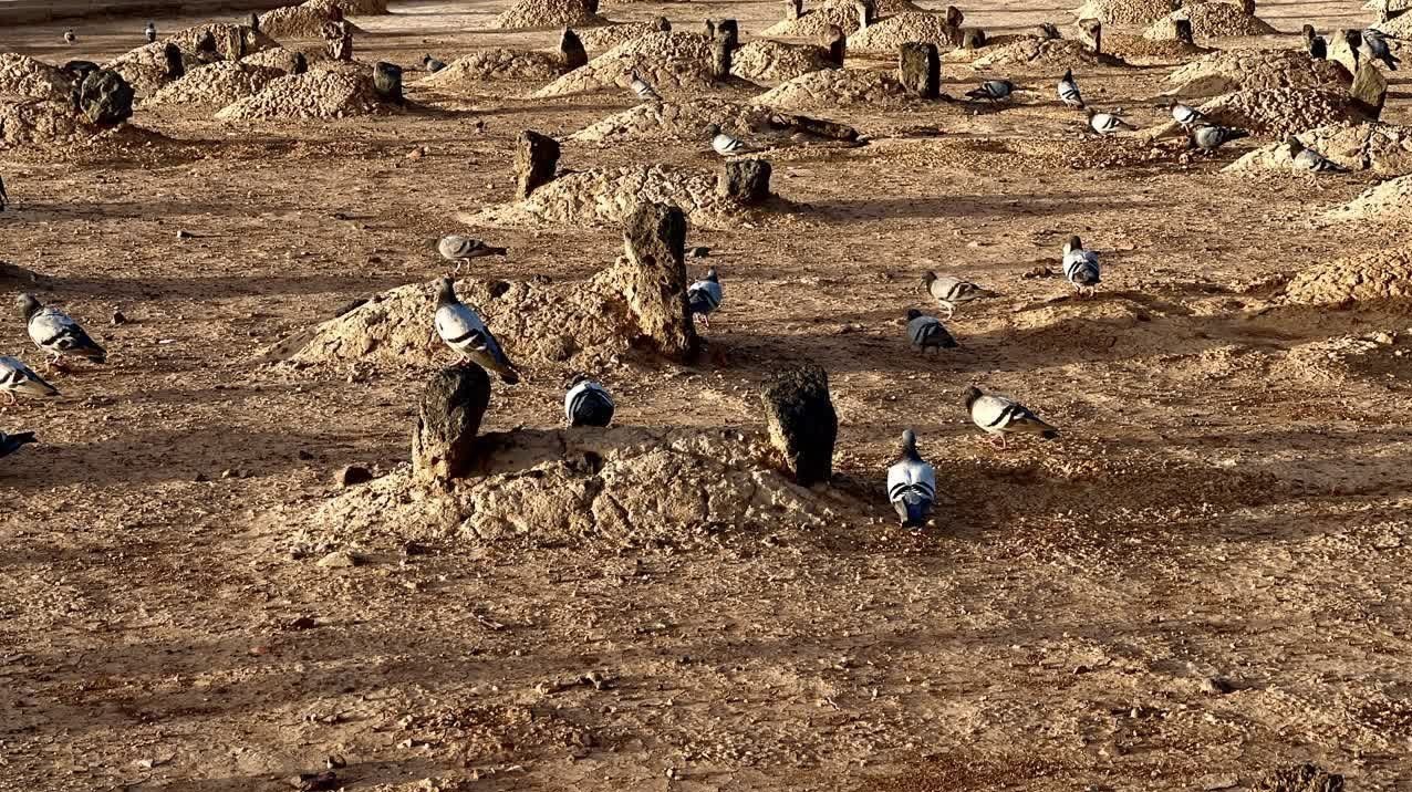 قبرستان بقیع , حج تمتع , حج تمتع 402 , 