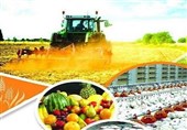 ثبت اشتغال برای یک‌هزار و 320 نفر در بخش کشاورزی سیستان و بلوچستان