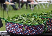 جزئیات جدید از پرونده تخلف واردات چای/ دولت سیزدهم چگونه این فساد را کشف کرد؟