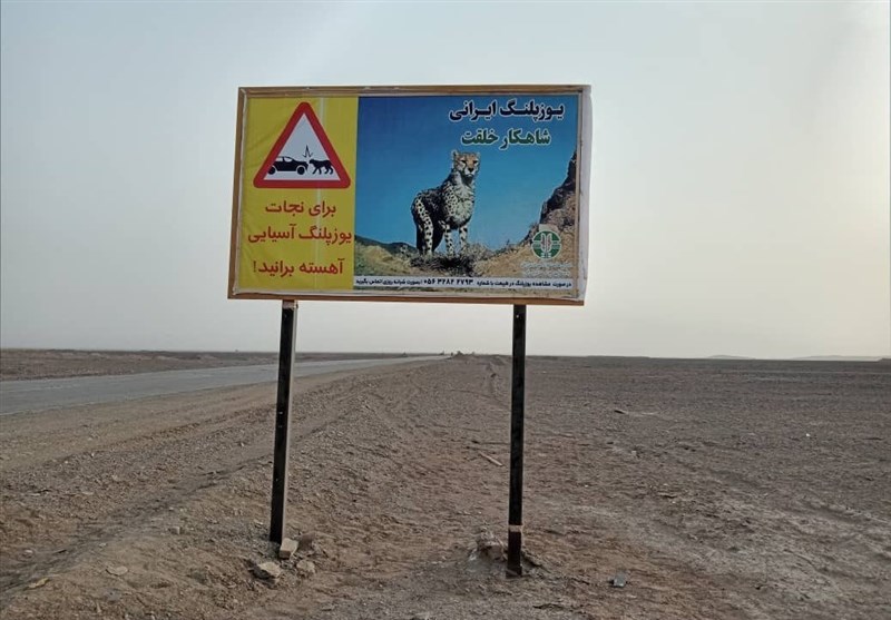 یوزپلنگ ایرانی , استانداری سمنان , بحران های محیط زیست ,