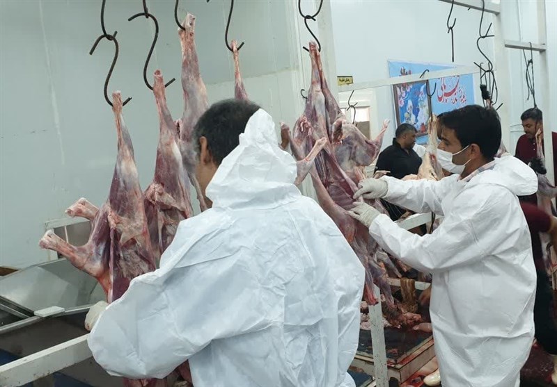 اخبار استان خراسان جنوبی , خبرگزاری تسنیم ,