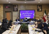 میرزابیگی: تصمیم‌های مربوط به خودروی ایثارگران فعلا روی کاغذ  است