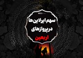 اینفوگرافیک| سهمیه ایرلاین‌ها در پروازهای اربعین