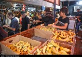 خدمت رسانی به زائرین اربعین حسینی در سامرا