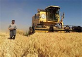 سلیمی: نباید کشاورز در الفبای کشت‌وکار خود بماند