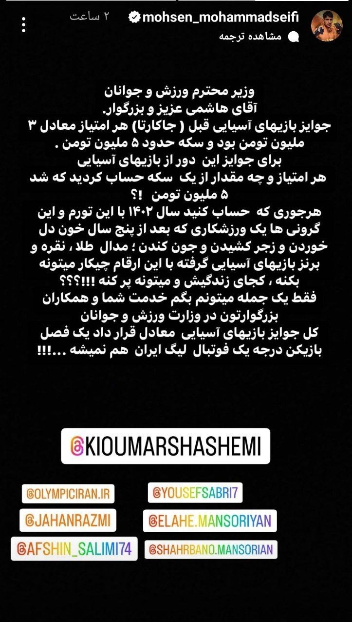 محسن محمدسیفی , ووشو ,