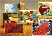 یادداشت| چرا کشاورزی چهارمحال و بختیاری به صنایع تبدیلی نیاز دارد؟