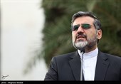 وزیر ارشاد به رفتنِ مرضیه برومند واکنش نشان داد + فیلم