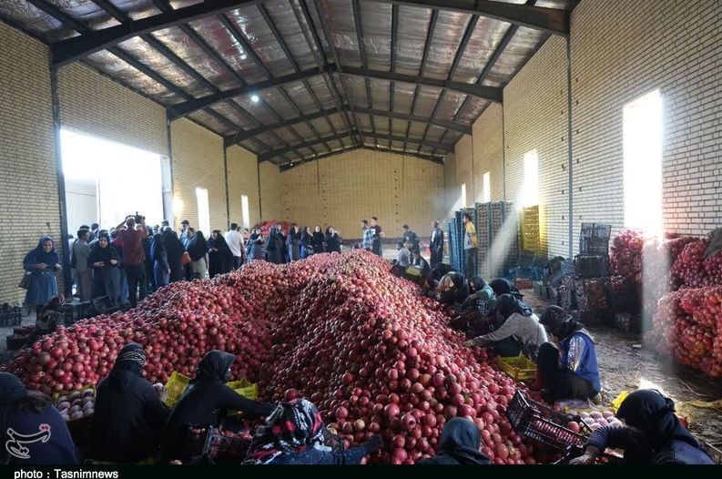 استان لرستان , کشاورزی ,