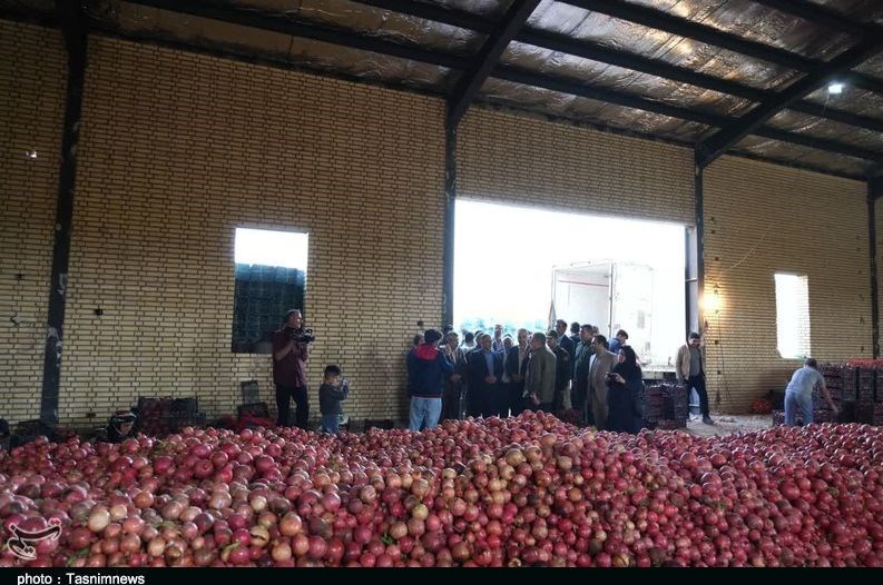 استان لرستان , کشاورزی ,