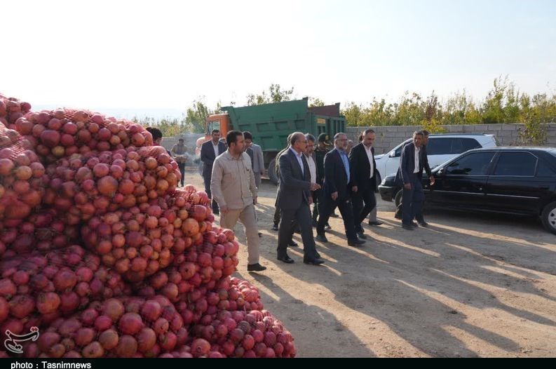 استان لرستان , کشاورزی ,