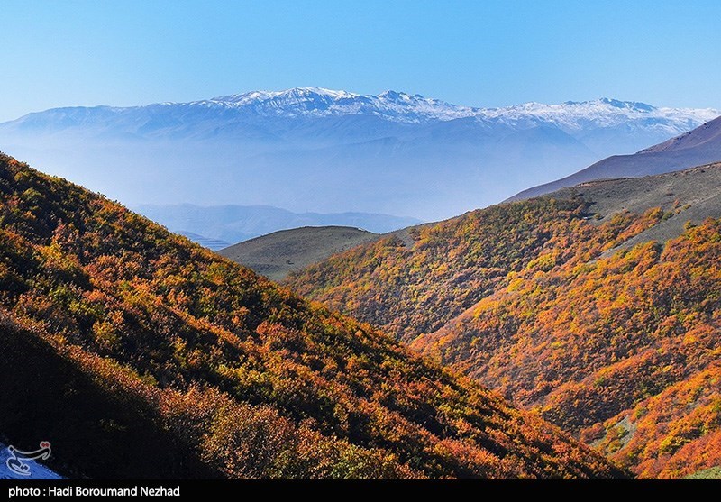 اخبار استان گلستان , جنگل , جنگل های هیرکانی , سازمان منابع طبیعی , نظام مسائل استان , نظام مسائل استان گلستان , 