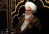 روایت آیت‌الله خاتمی از زهد و جایگاه علمی آیت‌الله شبیری زنجانی