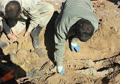کشف پیکر مطهر 3 شهید دفاع مقدس در فکه+فیلم
