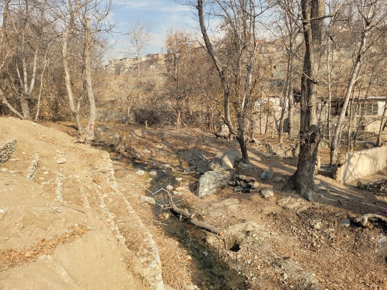 شهرداری تهران ,