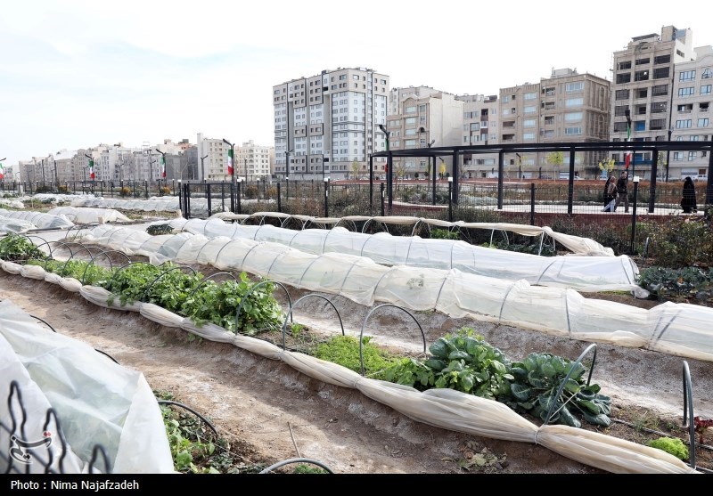 آلودگی هوا , اخبار مشهد , مشهد مقدس , خراسان رضوی , اخبار استان خراسان رضوی , آلودگی های زیست محیطی , صنایع آلاینده محیط زیست , 